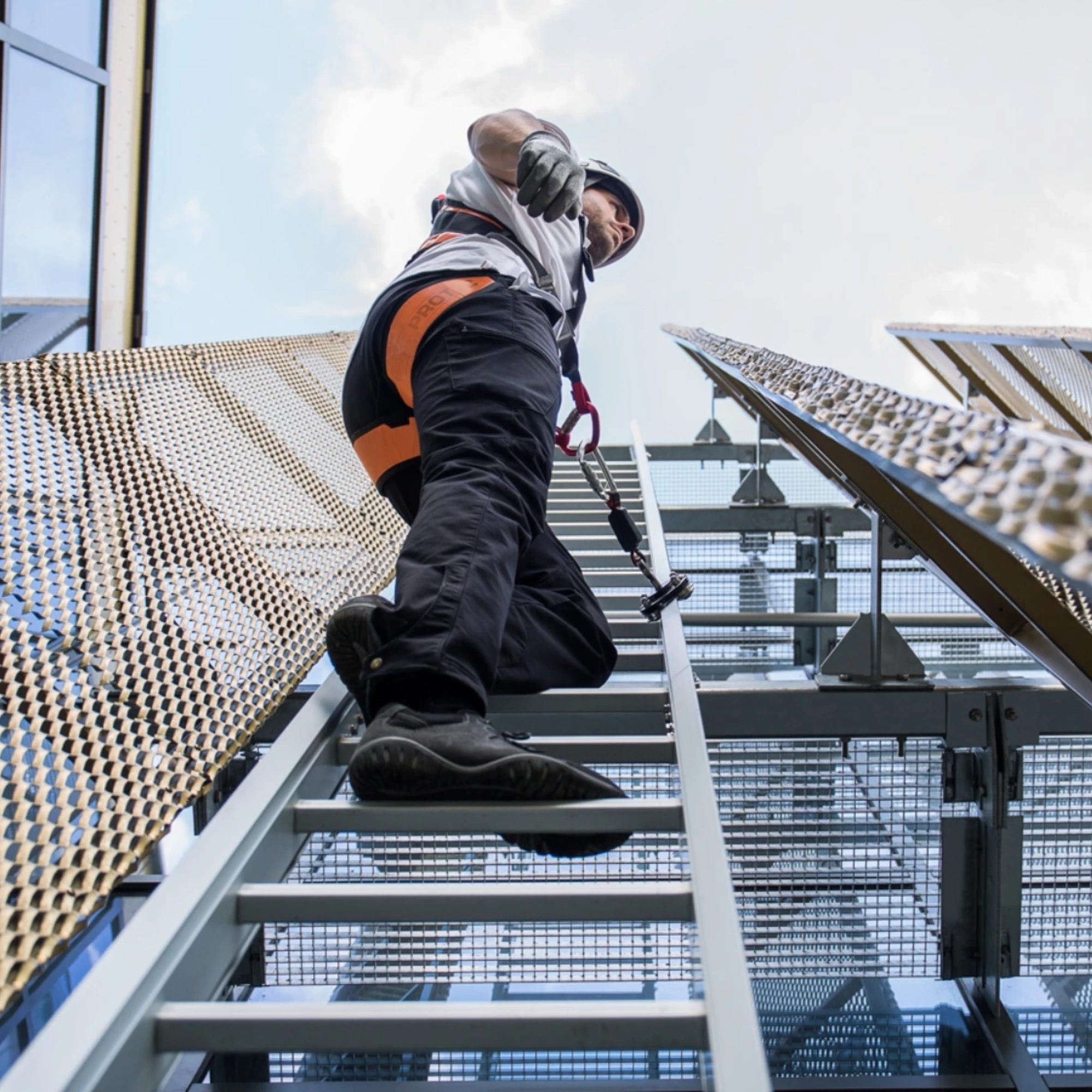 Safe Ladder Pro Safe Ladder Pro